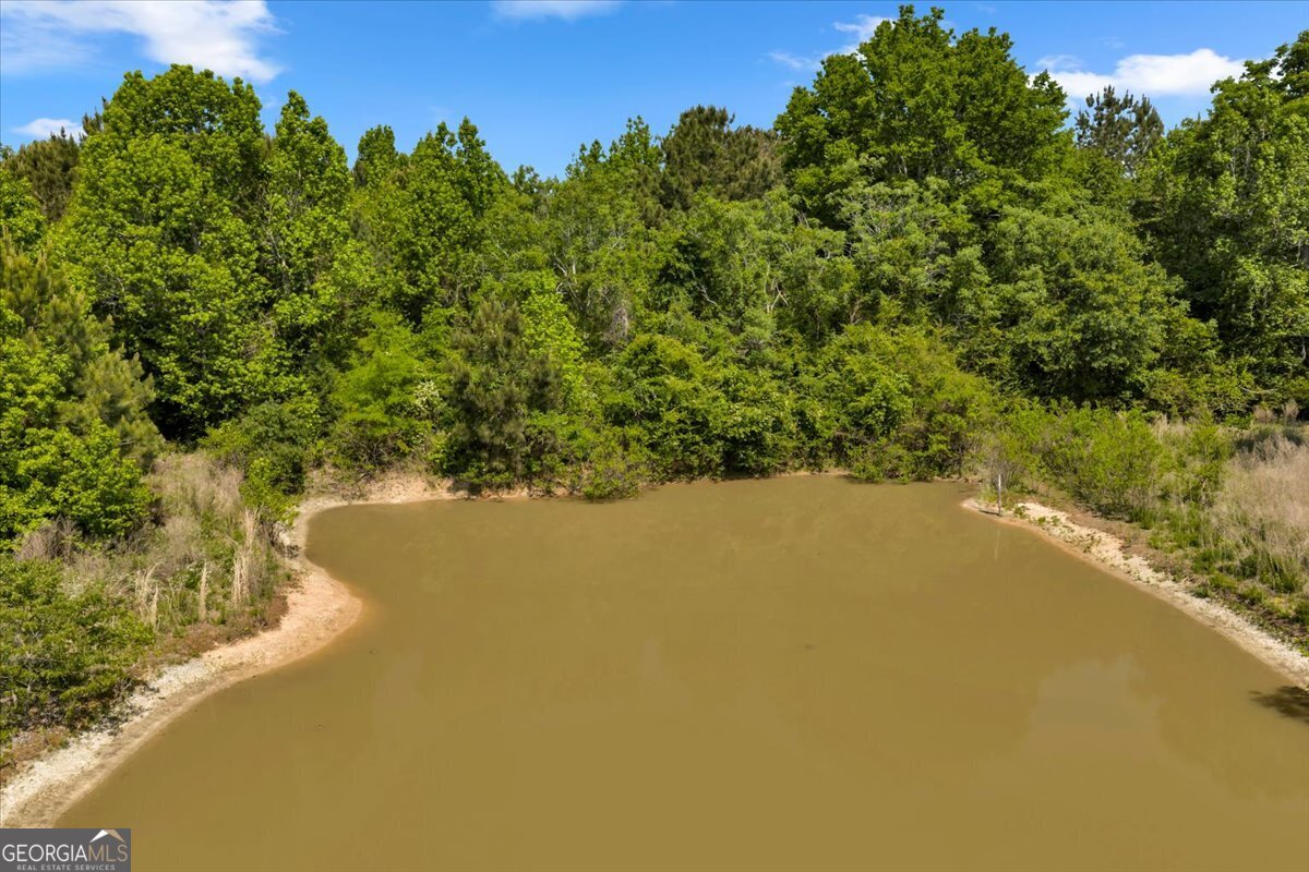 0 Highway 80 Danville GA 31017