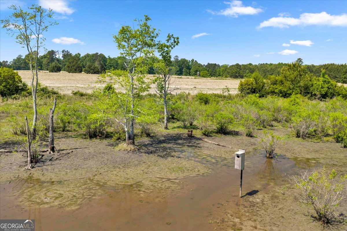 0 Highway 80 Danville GA 31017
