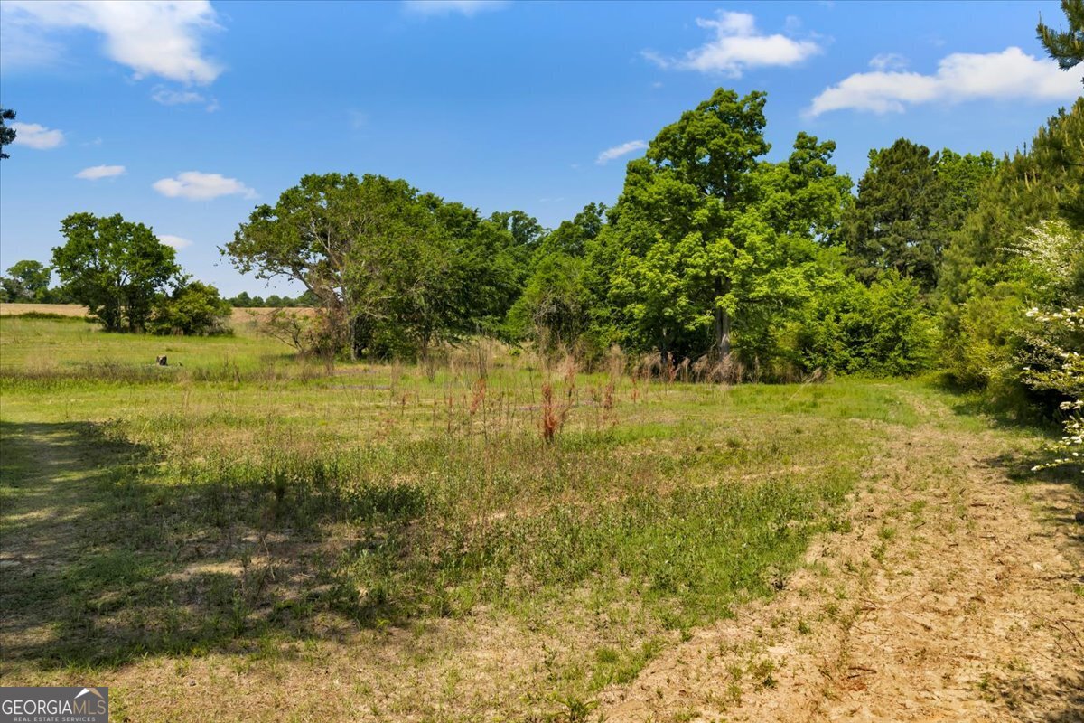 0 Highway 80 Danville GA 31017