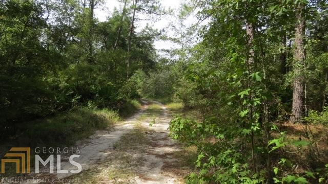 0 Area Line Road Claxton GA 30417