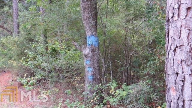 0 Area Line Road Claxton GA 30417
