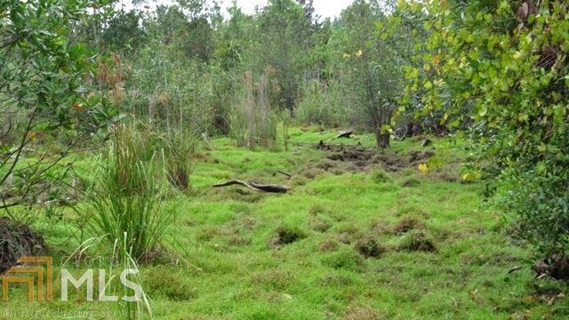 0 Area Line Road Claxton GA 30417