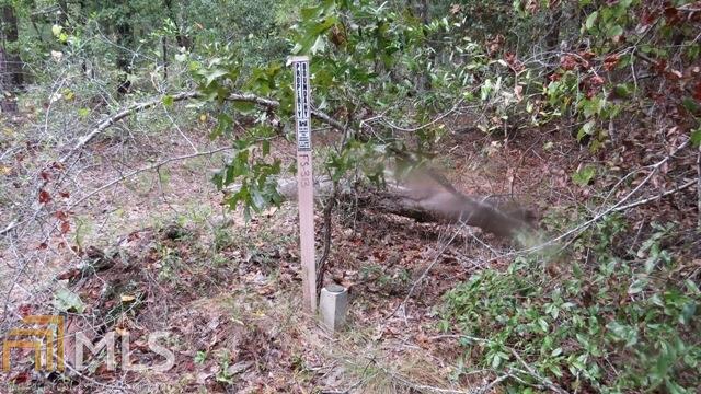 0 Area Line Road Claxton GA 30417