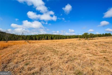 119 Inland 15 Acres Drive Talking Rock GA 30175
