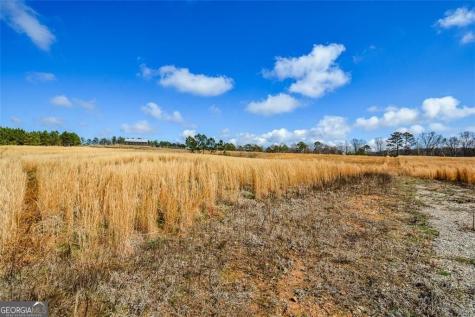 119 Inland 15 Acres Drive Talking Rock GA 30175
