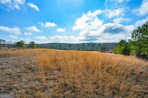 119 Inland 15 Acres Drive Talking Rock GA 30175