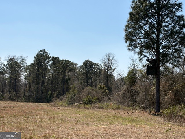 461 Currington Road Mauk GA 31058