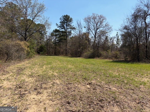 461 Currington Road Mauk GA 31058