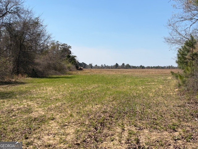 461 Currington Road Mauk GA 31058