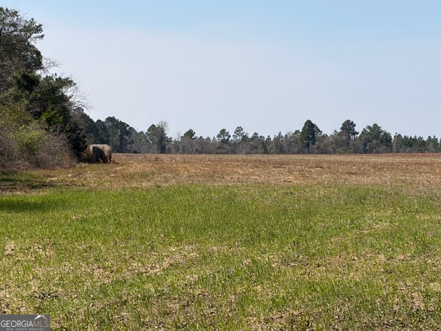 461 Currington Road Mauk GA 31058