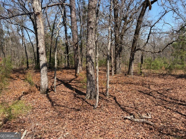 461 Currington Road Mauk GA 31058
