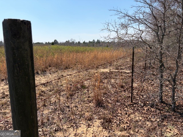 461 Currington Road Mauk GA 31058