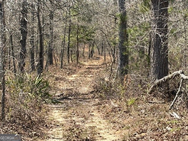 461 Currington Road Mauk GA 31058