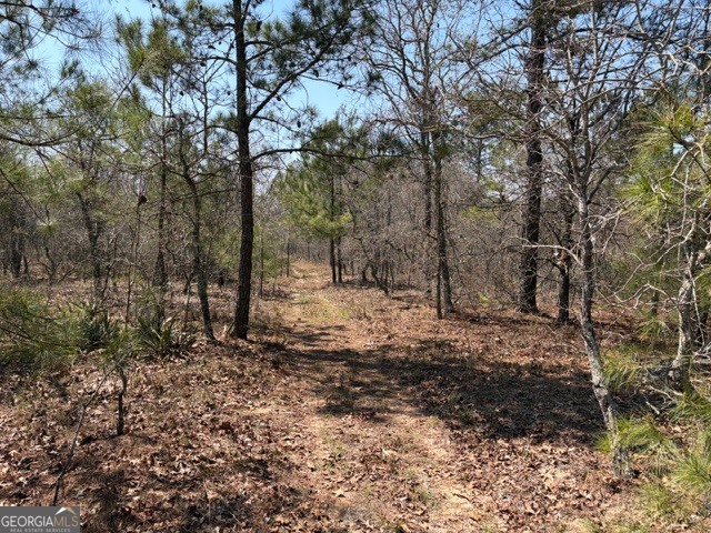 461 Currington Road Mauk GA 31058