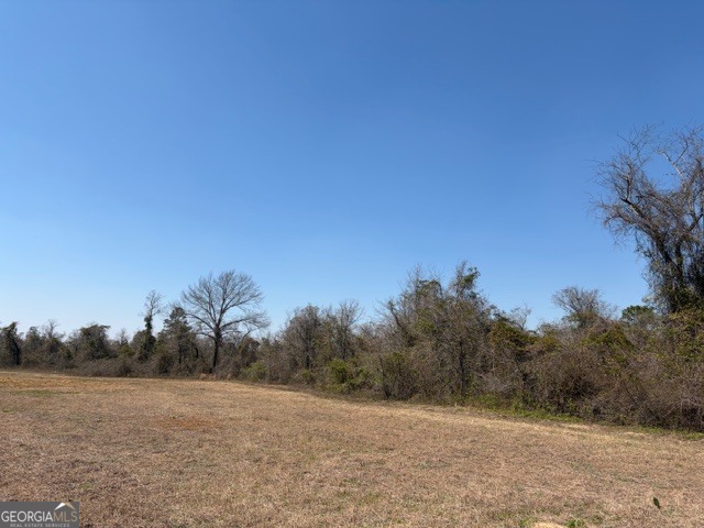 461 Currington Road Mauk GA 31058