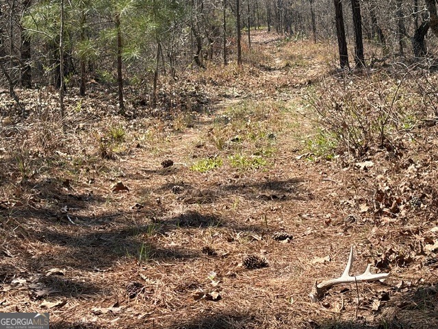 461 Currington Road Mauk GA 31058