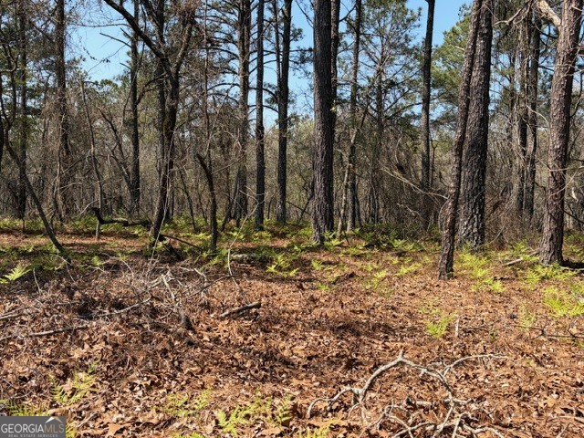 461 Currington Road Mauk GA 31058