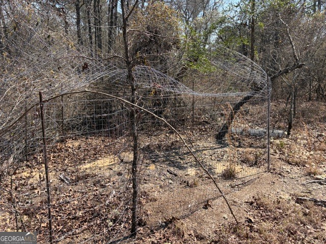 461 Currington Road Mauk GA 31058