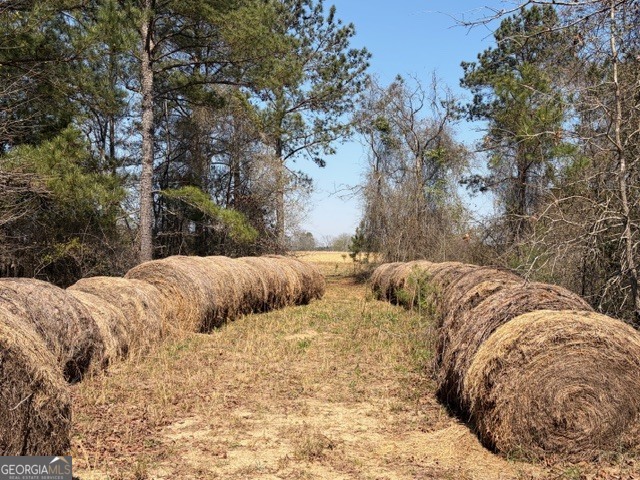 461 Currington Road Mauk GA 31058