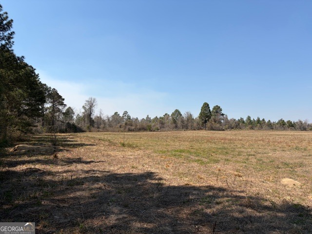 461 Currington Road Mauk GA 31058