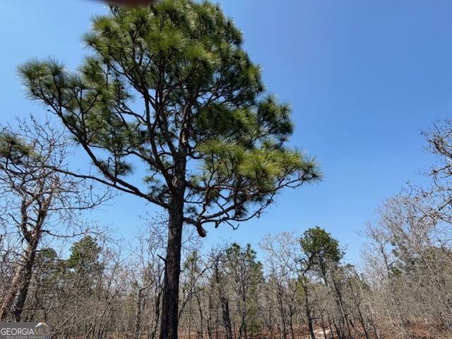 461 Currington Road Mauk GA 31058