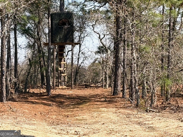 461 Currington Road Mauk GA 31058