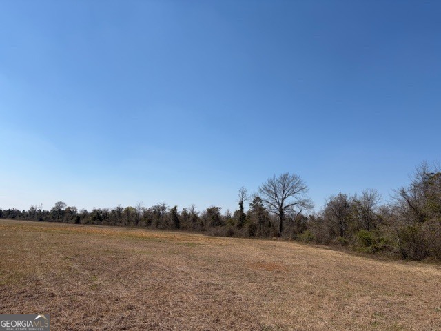 461 Currington Road Mauk GA 31058