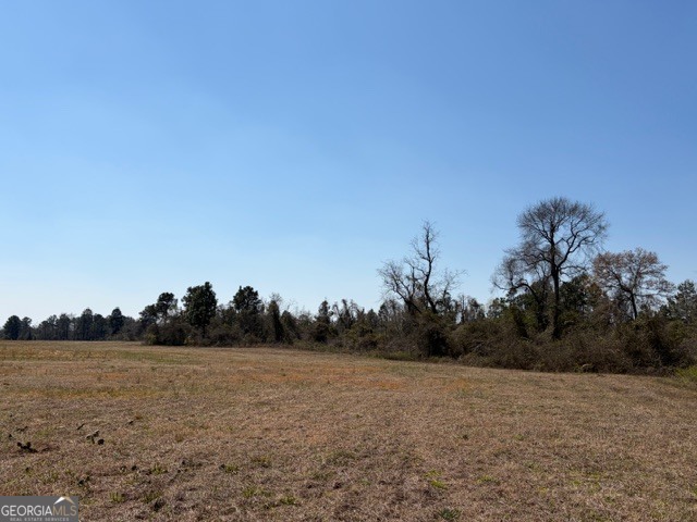 461 Currington Road Mauk GA 31058