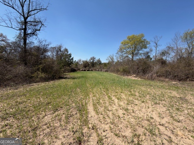461 Currington Road Mauk GA 31058
