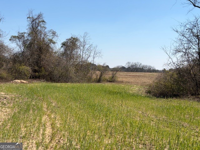 461 Currington Road Mauk GA 31058