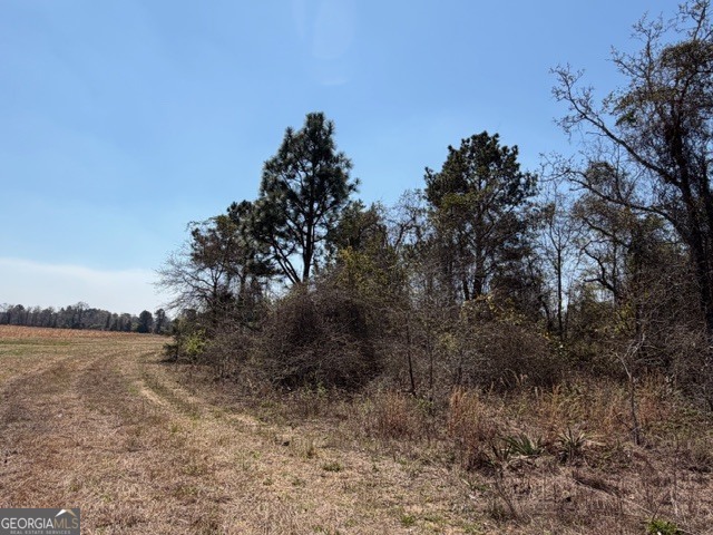 461 Currington Road Mauk GA 31058