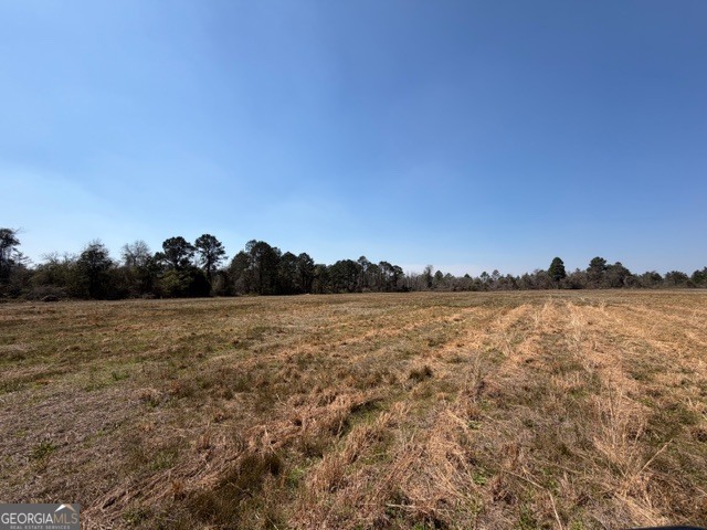 461 Currington Road Mauk GA 31058