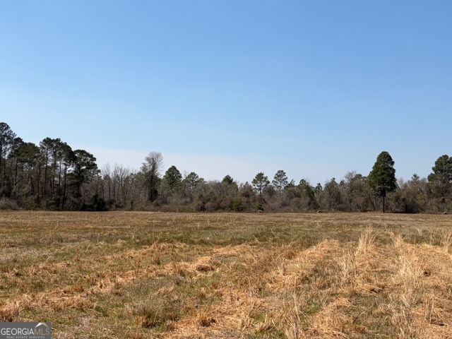 461 Currington Road Mauk GA 31058