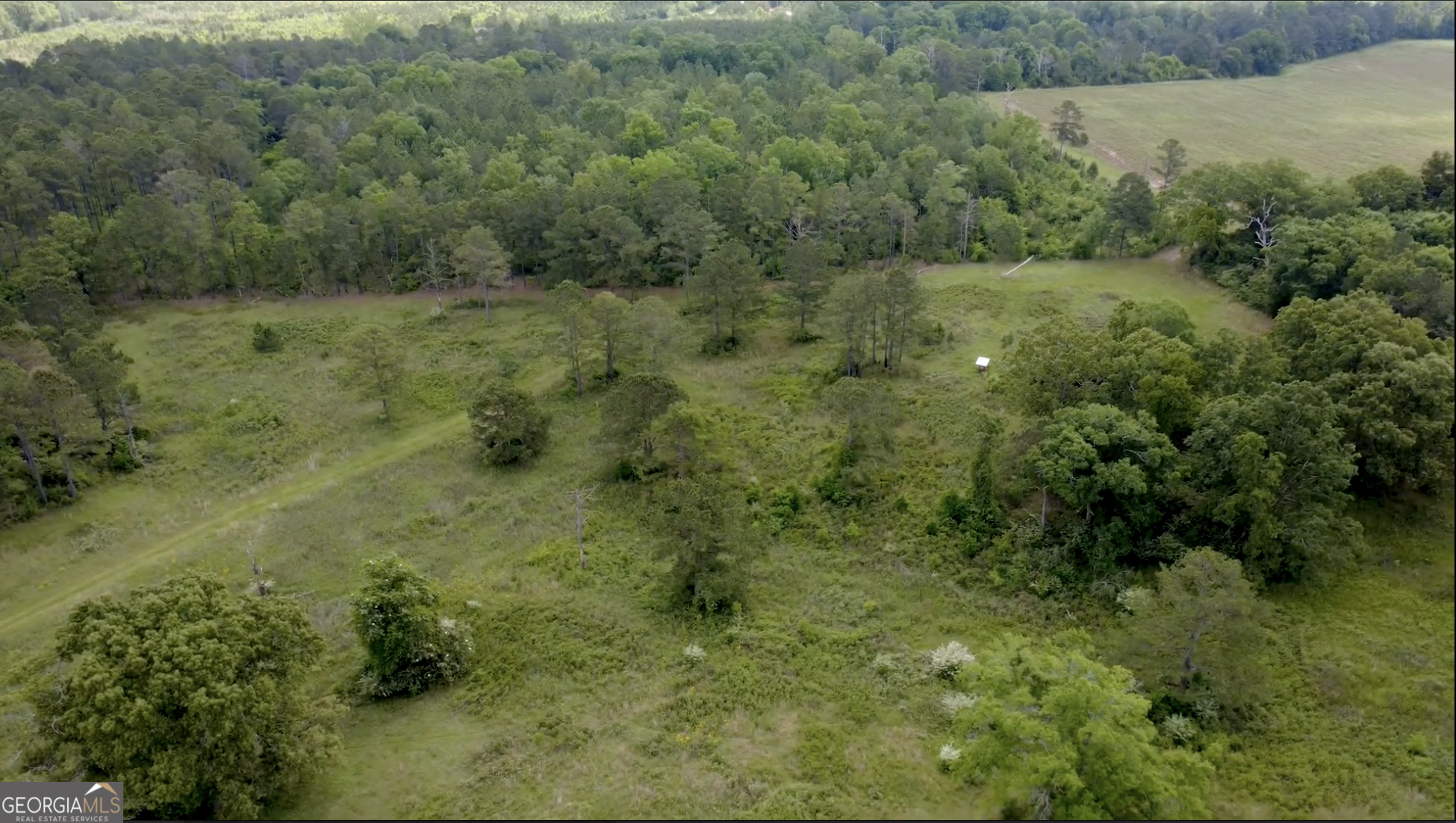 0 District Line Road Cuthbert GA 39840