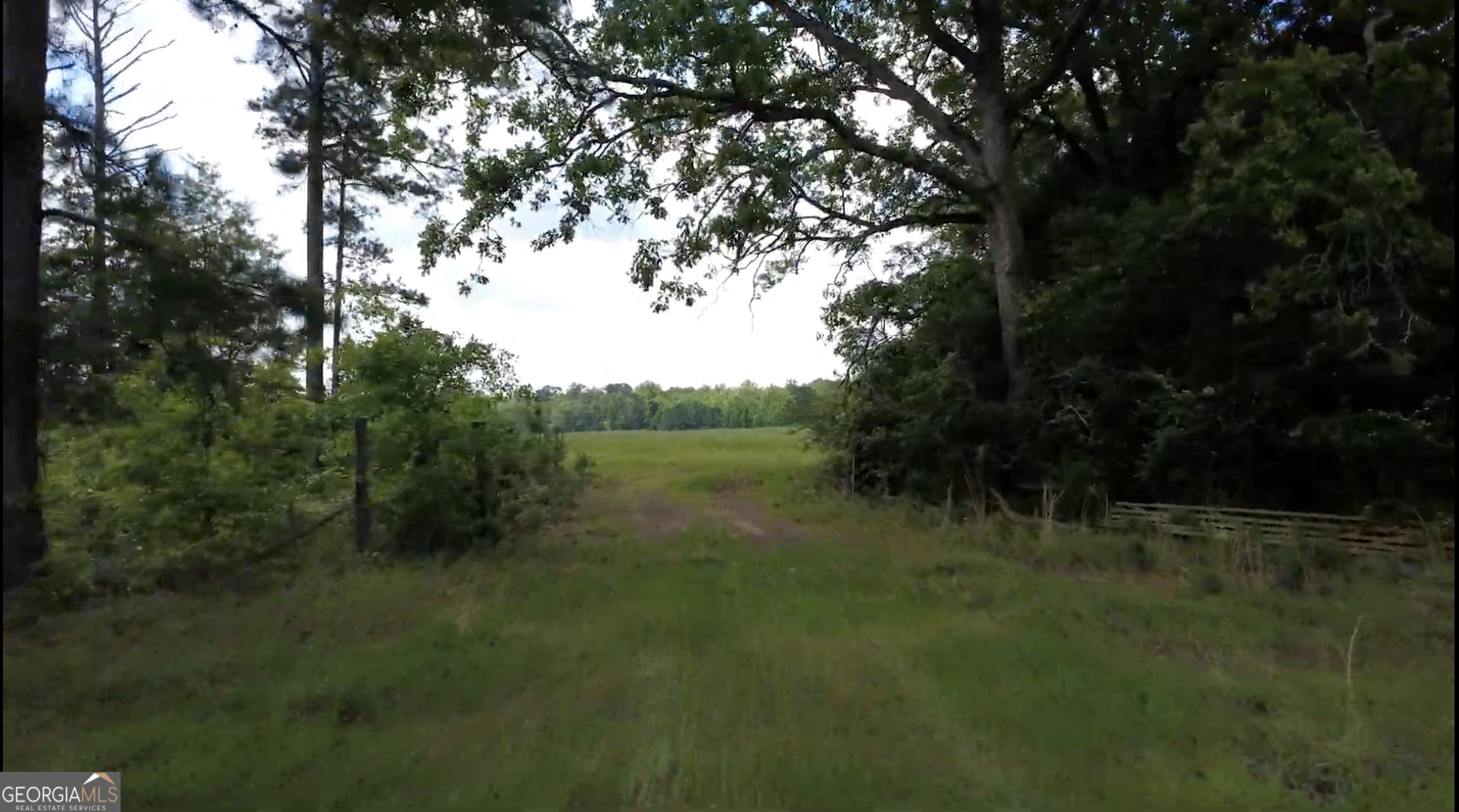 0 District Line Road Cuthbert GA 39840