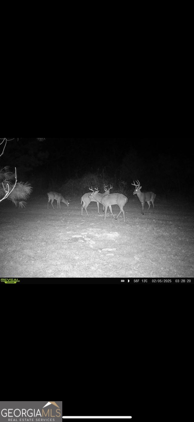 0 District Line Road Cuthbert GA 39840