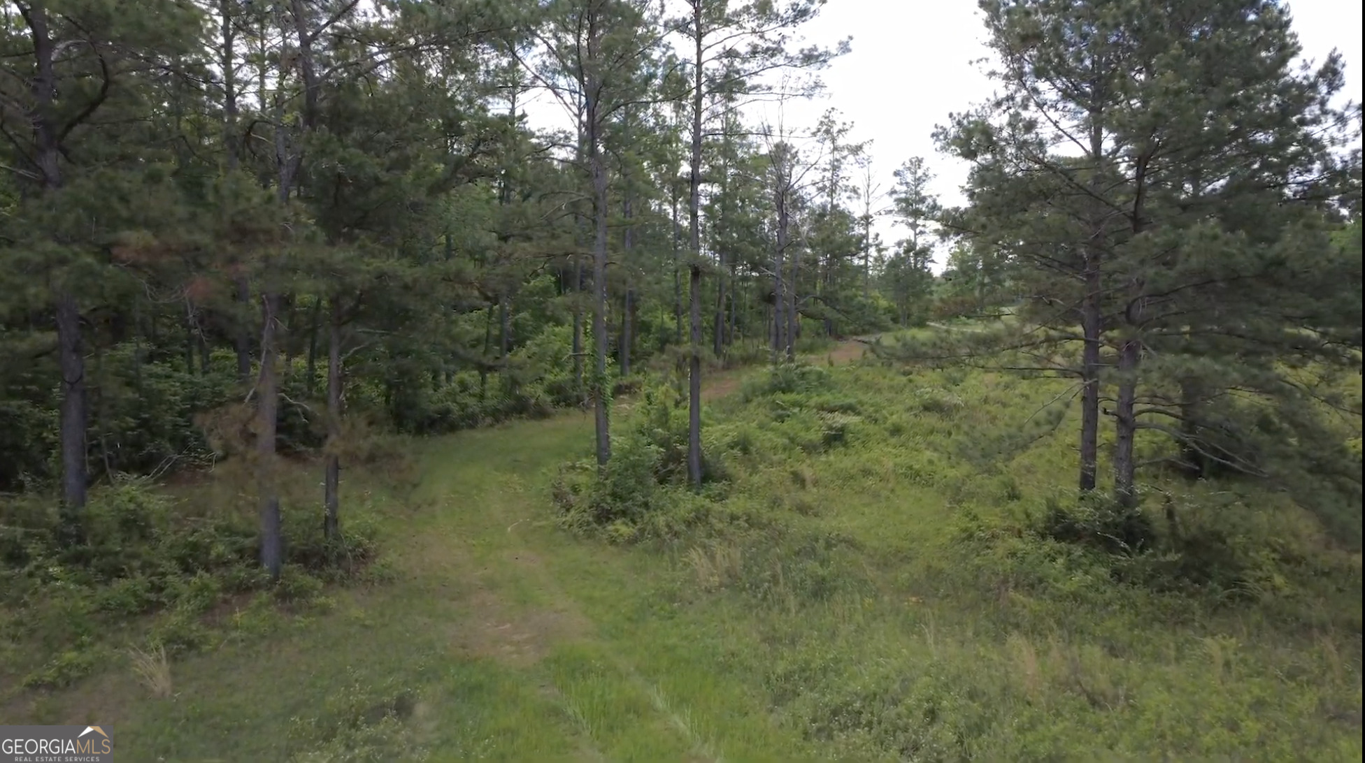 0 District Line Road Cuthbert GA 39840
