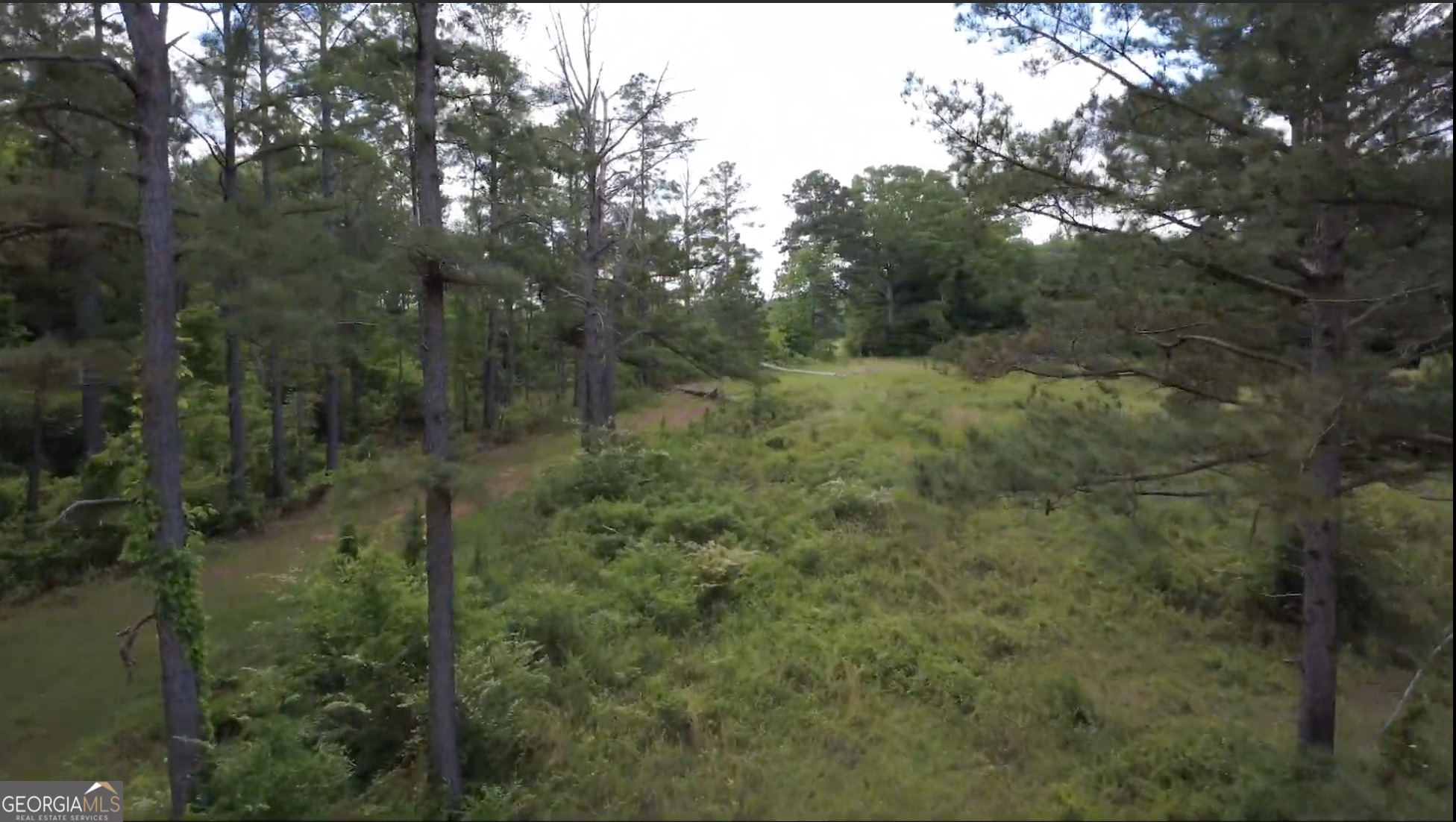 0 District Line Road Cuthbert GA 39840