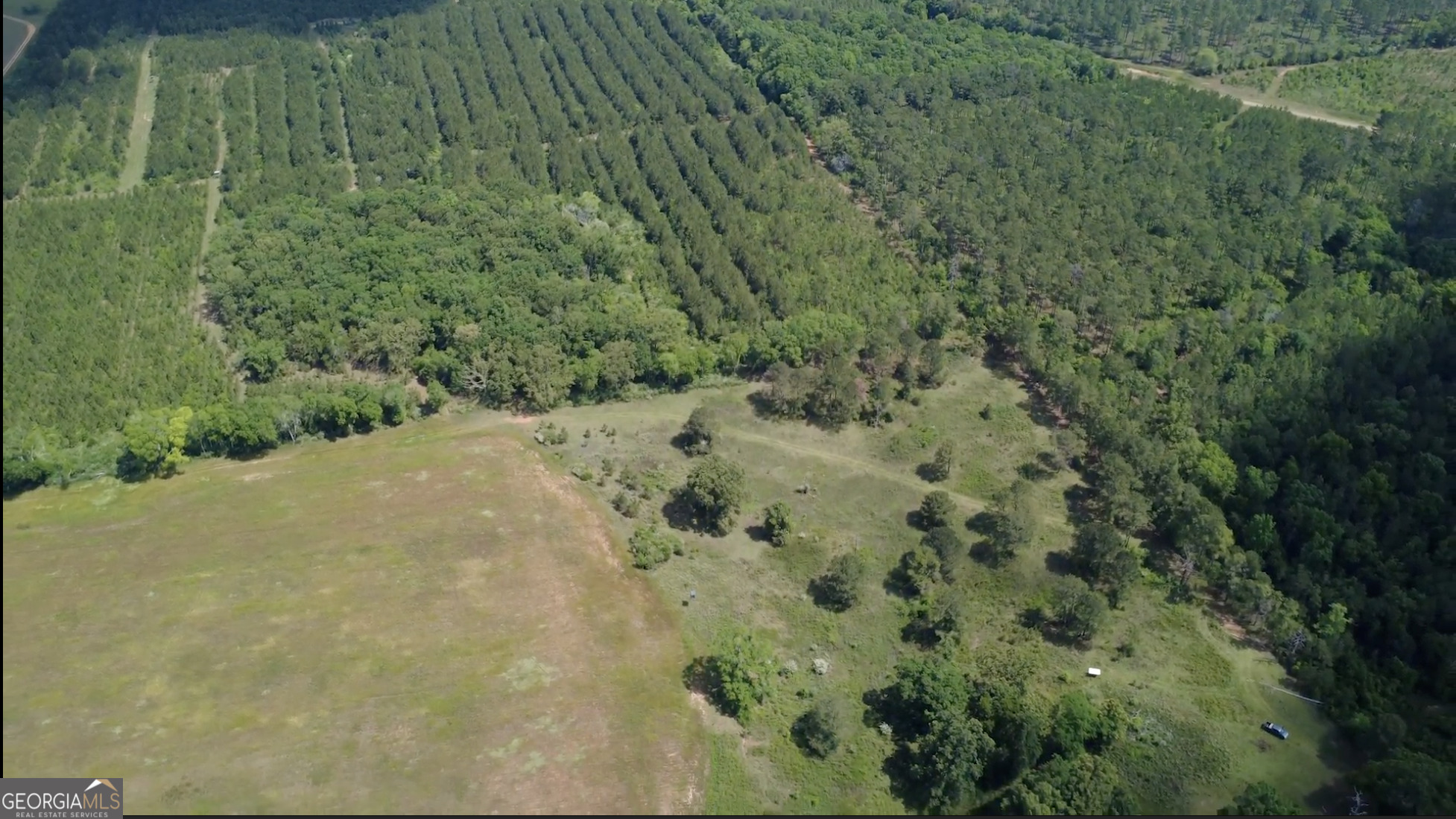 0 District Line Road Cuthbert GA 39840