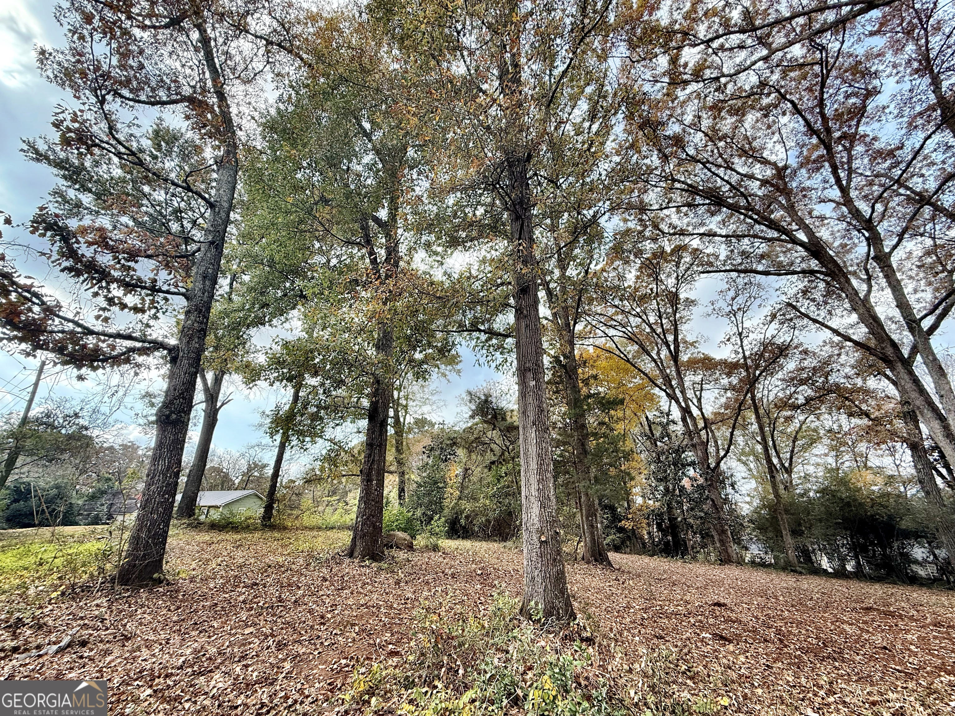 0 S Lee Street Forsyth GA 31029