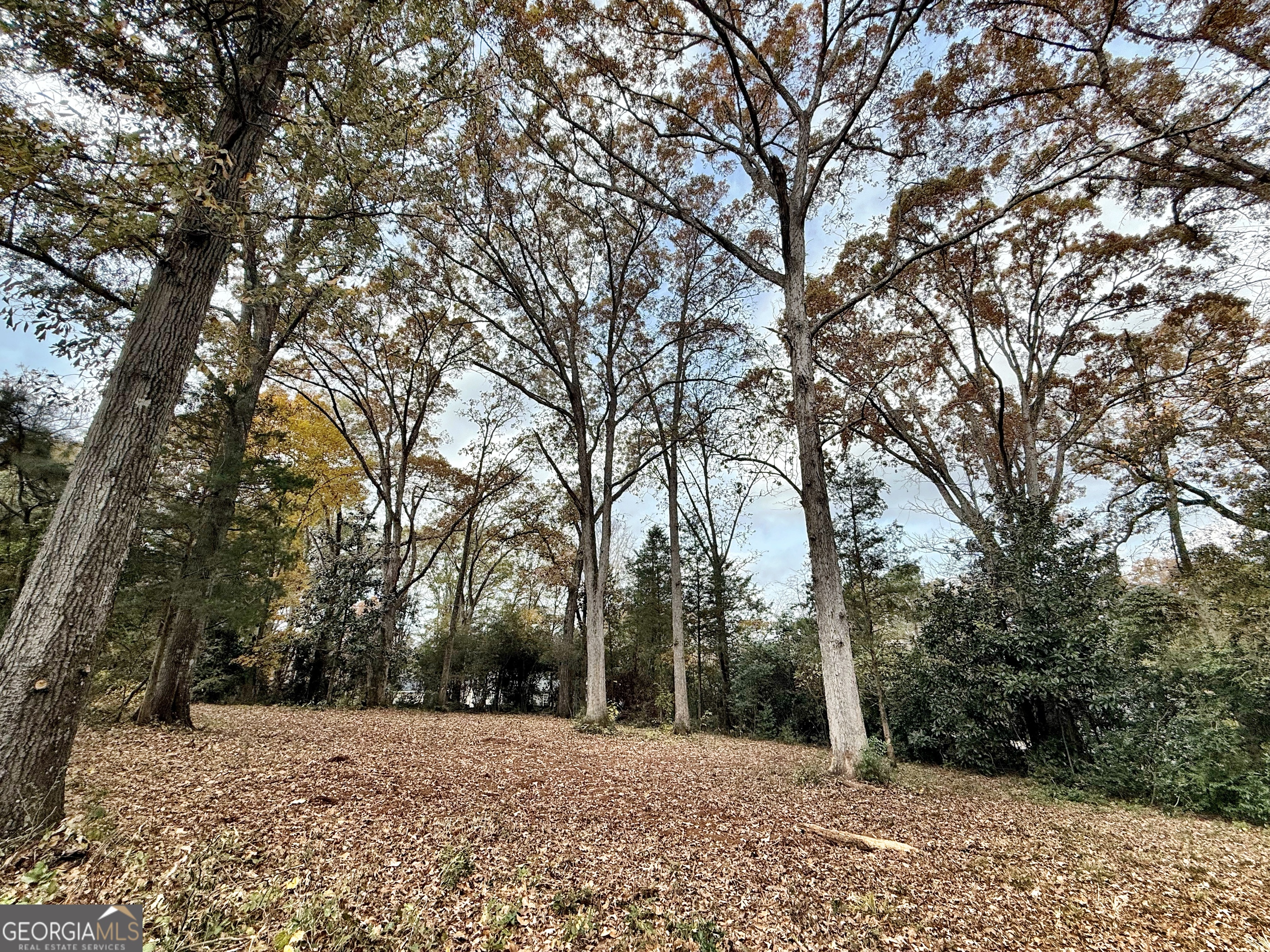 0 S Lee Street Forsyth GA 31029