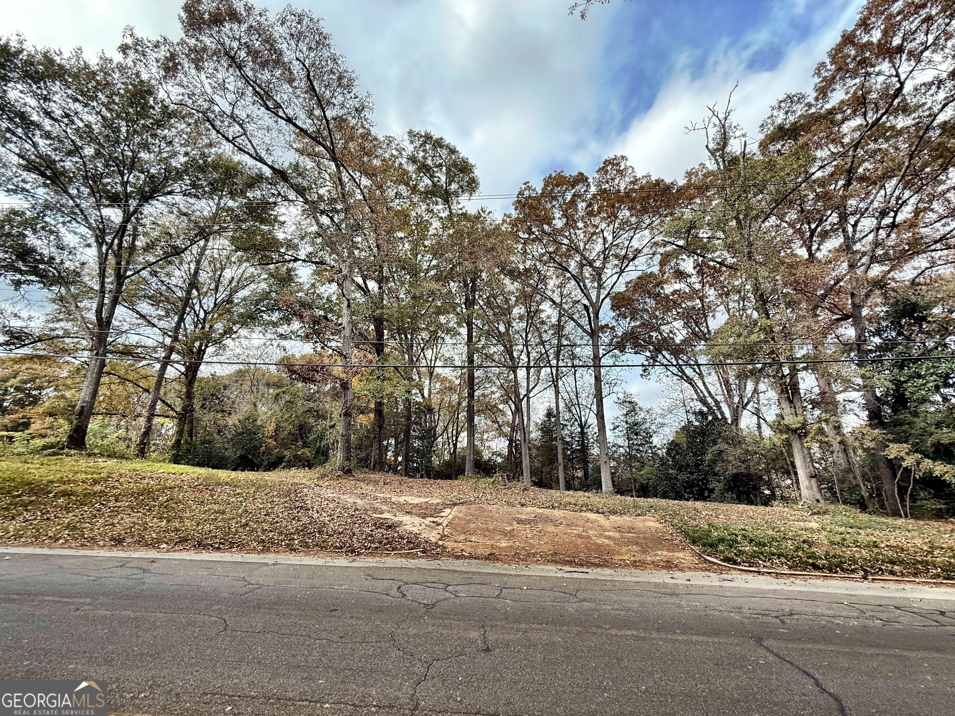 0 S Lee Street Forsyth GA 31029