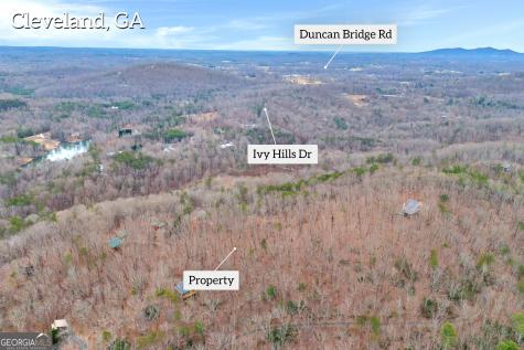 0 Douglas Fir Drive Cleveland GA 30528