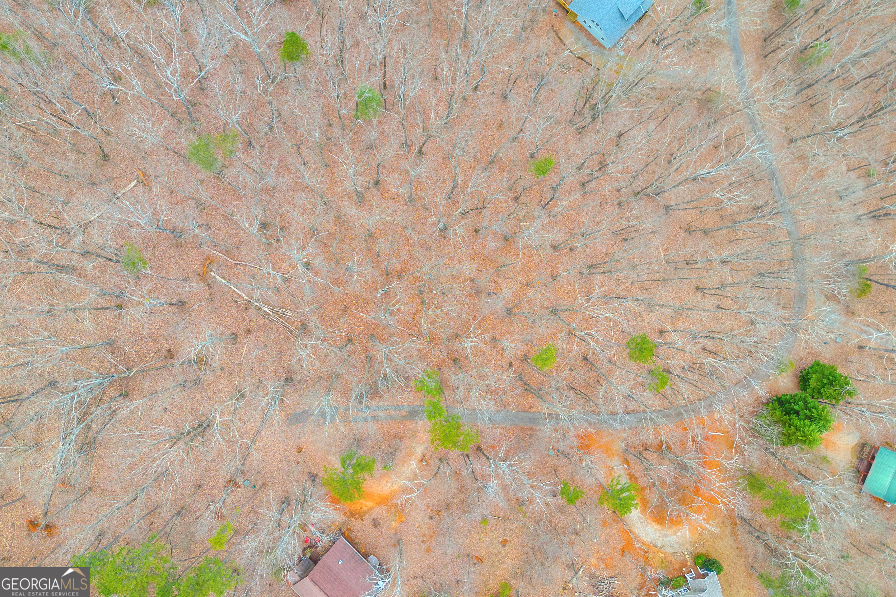 0 Douglas Fir Drive Cleveland GA 30528