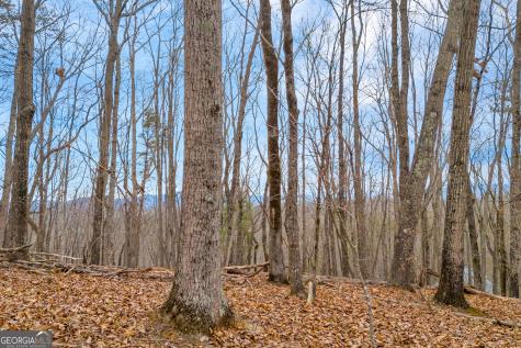 0 Douglas Fir Drive Cleveland GA 30528