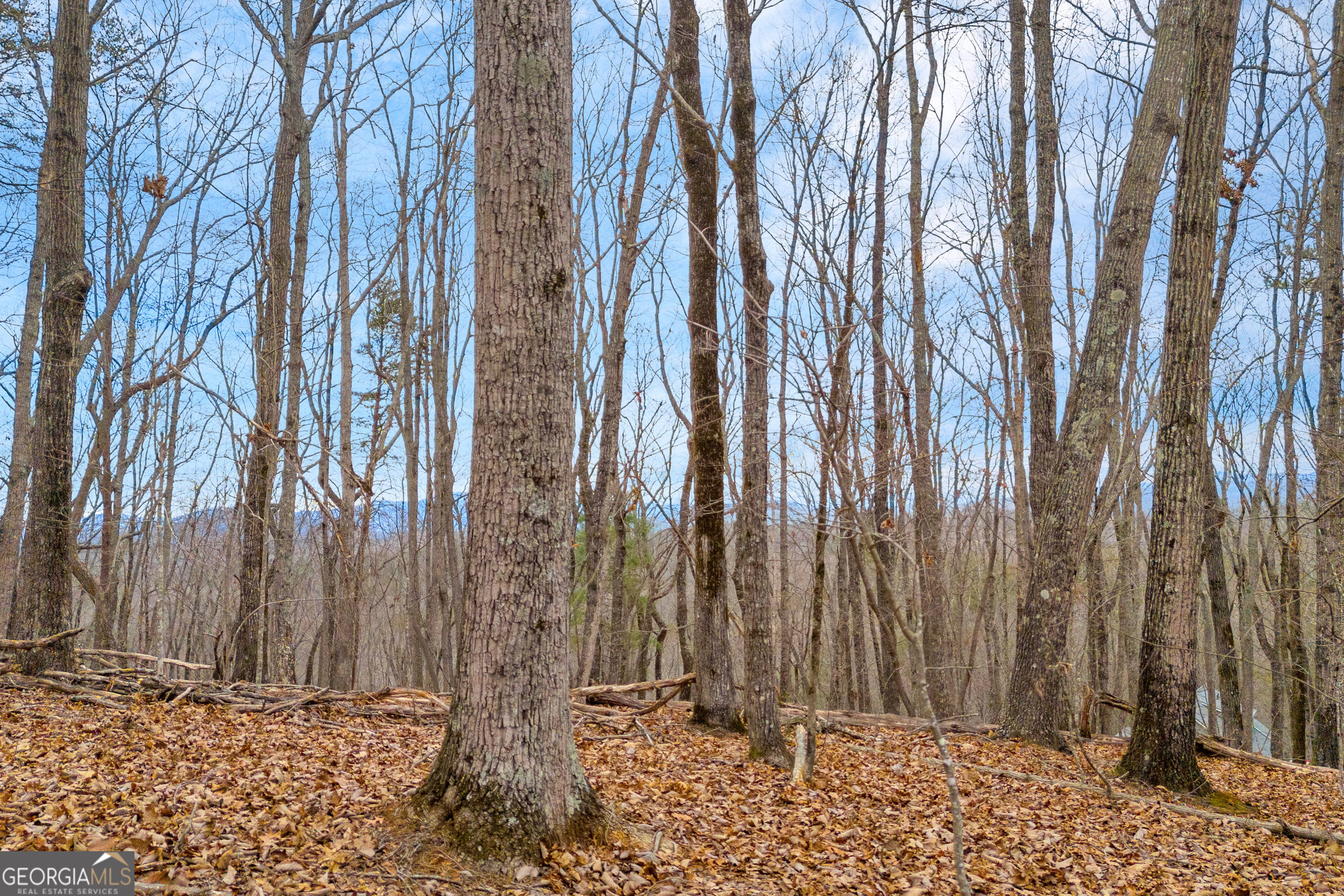 0 Douglas Fir Drive Cleveland GA 30528