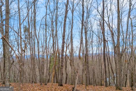 0 Douglas Fir Drive Cleveland GA 30528