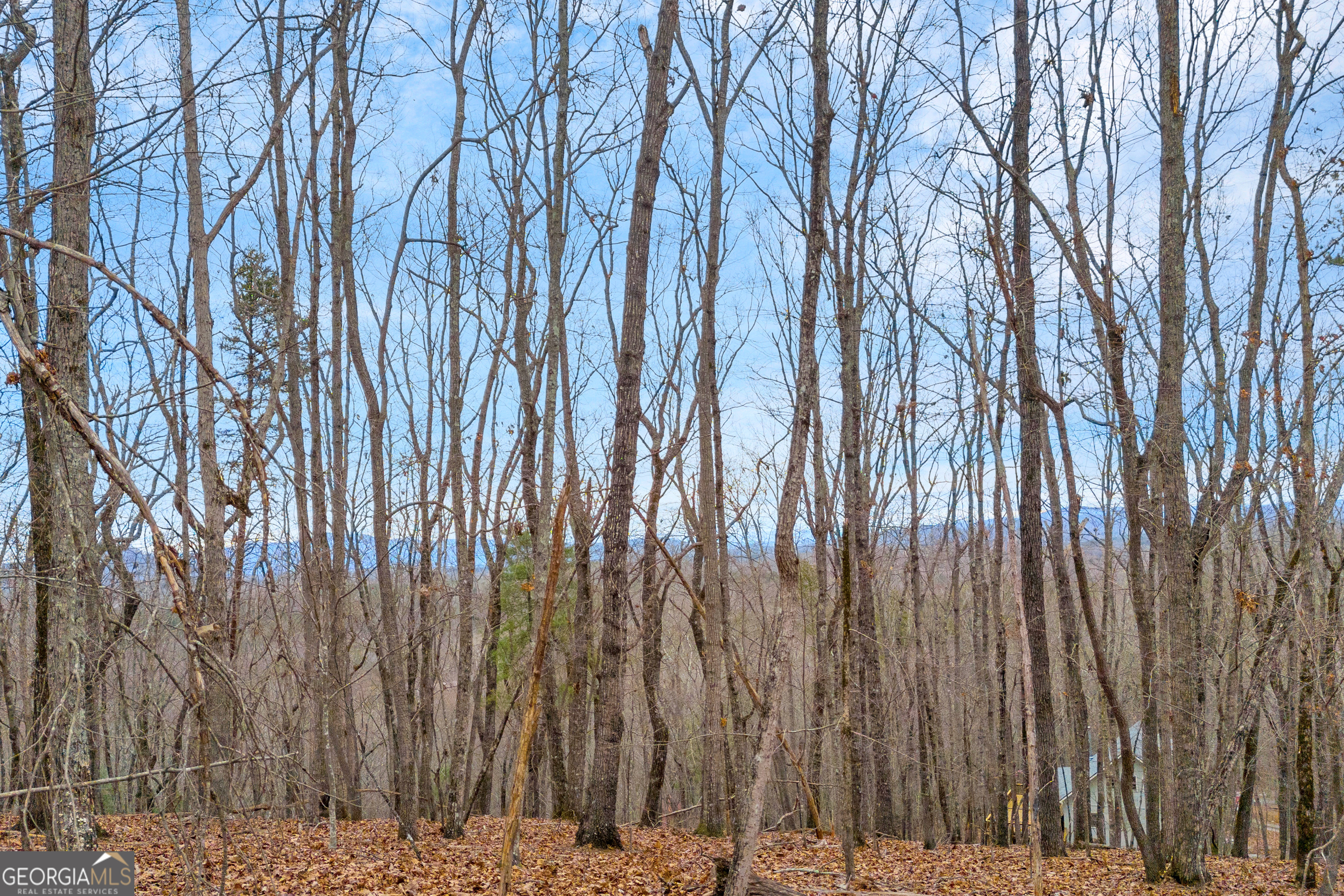 0 Douglas Fir Drive Cleveland GA 30528