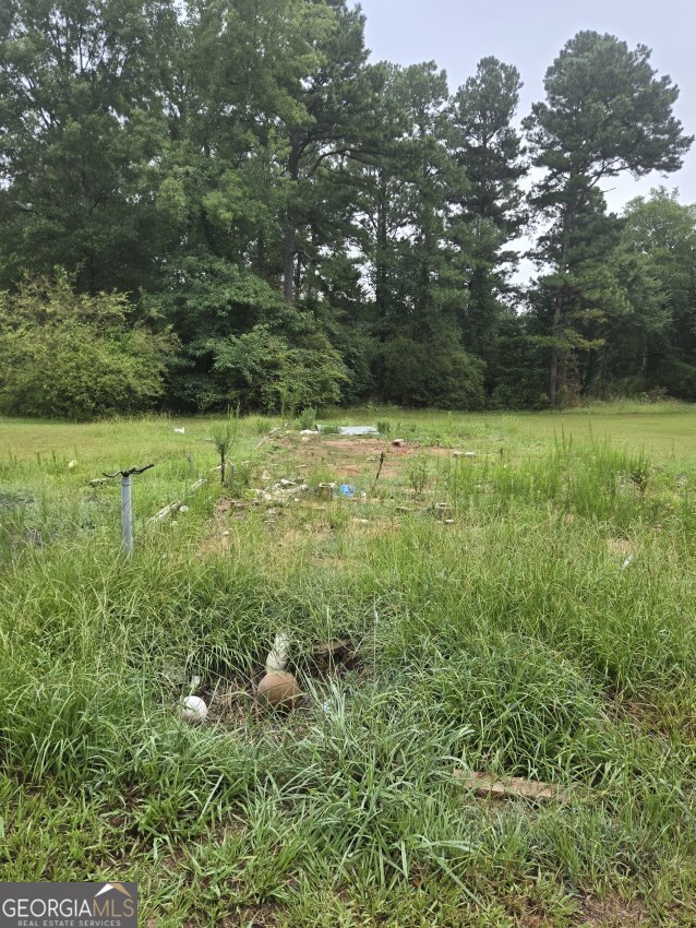 100 Hunters Ridge Drive Monticello GA 31064