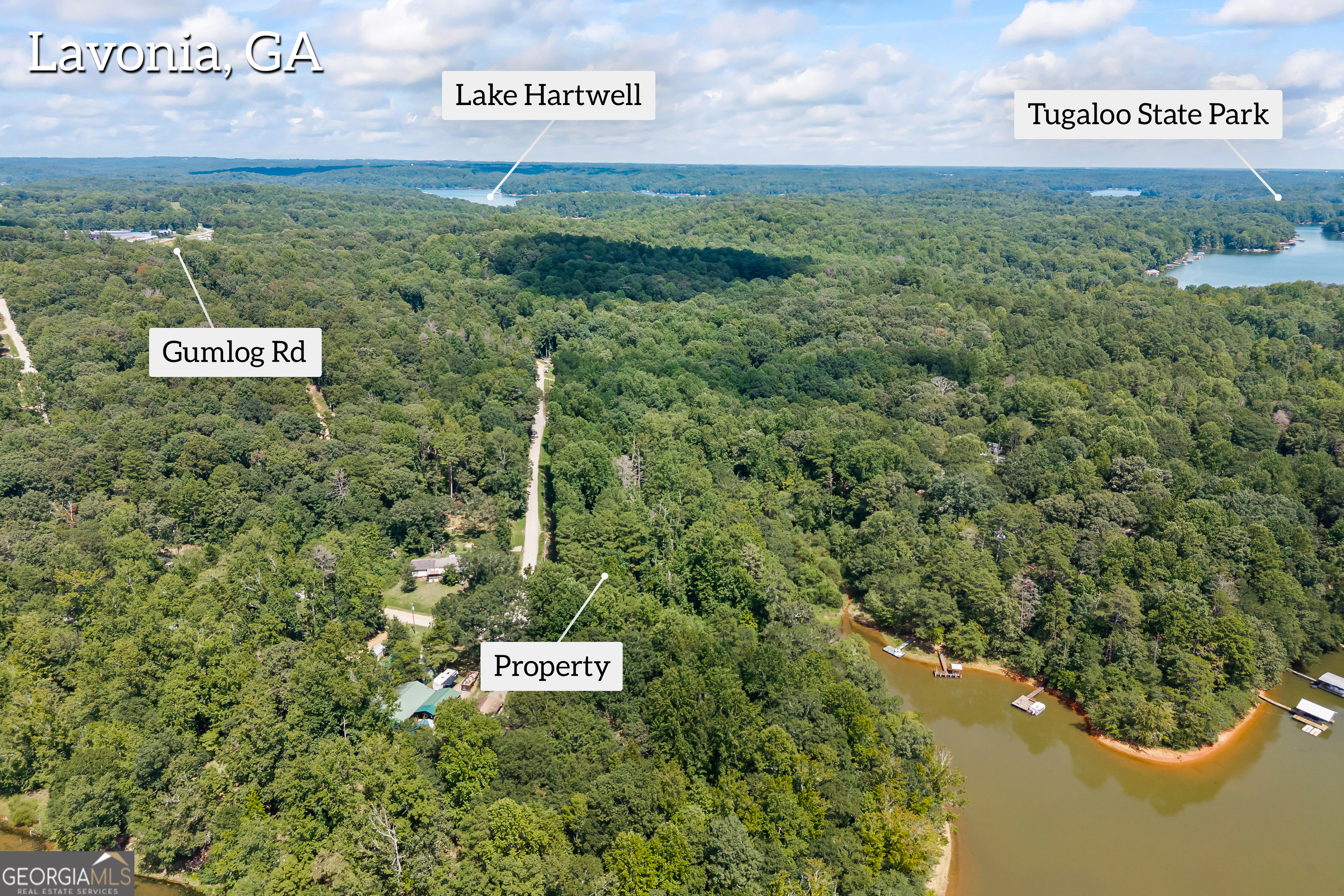 474 Lewis Drive Lavonia GA 30553